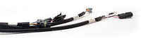 FAST GM Main Wiring Harnesses (301100)