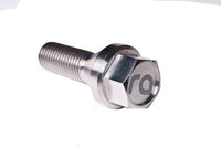 Radium Universal Titanium Lug Bolts (20